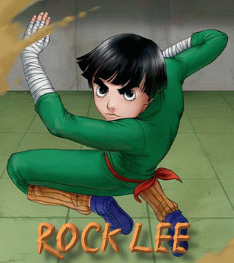 RockLeeFertig.gif